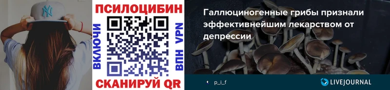 Галлюциногенные грибы Cubensis  Омутнинск 